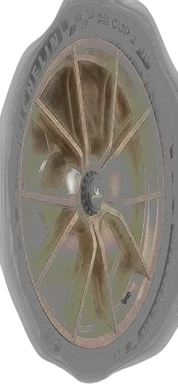 Michelin Pilot Sport Cup 2 R Connect