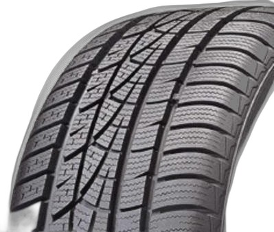 Hankook Winter i*cept evo W310B
