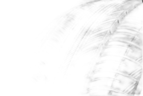 Nankang Winter Activa N-607+