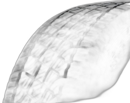 Pirelli Scorpion ATR