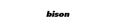 Bison