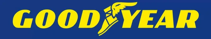 Goodyear UltraGrip 9+ Van